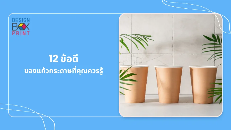 12 ขั้นตอนของแก้วกระดาษที่ทำจากสารรีไซเคิล แก้วกระดาษสามใบวางบนพื้นหินหรู, แสดงถึงความเป็นมิตรกับสิ่งแวดล้อมและความรับผิดชอบต่อสังคม